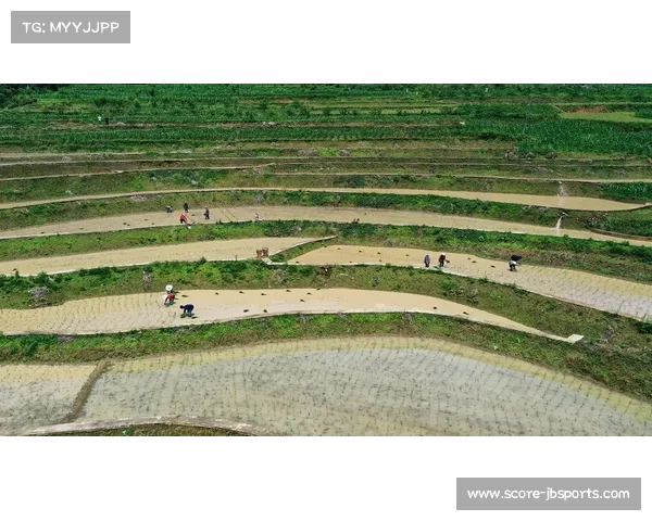 免费转播助力赛事传播拓展观众群体提升影响力